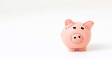 Piggy Bank - Business Growth in 2020