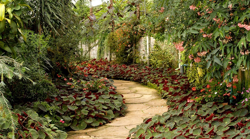 Backyard Garden with Winding Path - Stunning Gardens and Beautiful Homes
