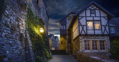 Street of Stone Tudor Houses - Deal with Problems Quickly