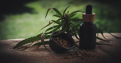 Marijuana Plant and CBD Oil - Will CBD Get you High?