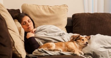 Woman Sleeping on Sofa with Weighted Blanket and Dog - Weighted Blanket