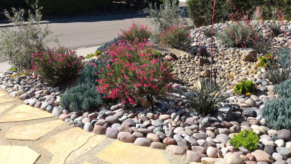 xeriscape landscaping