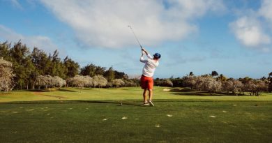 Man swinging club on Golf Course - Exploring the World of Golf