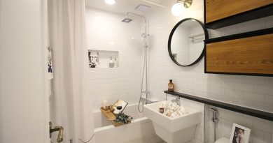 Bathroom Vanity FI