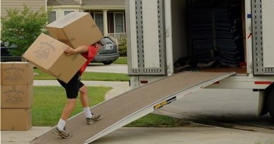 Mover carrying boxes into moving van -Your Home? 7 Things You Must Check Out