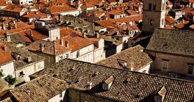 Roofs - Choosing A Roof