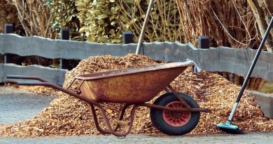 Wheelbarrow and mulch pile - Get Rid of Yard Waste