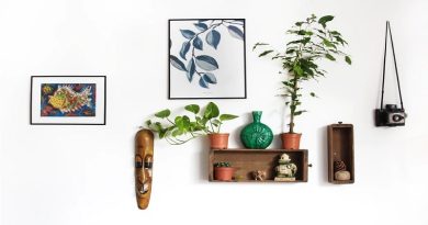 Antique Collection on Wall