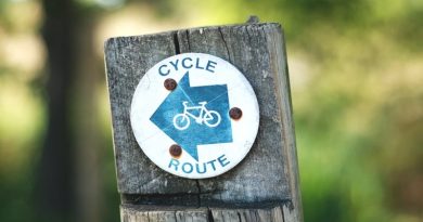 Cycle Route Sign on Wooden Post - Environment-Friendly