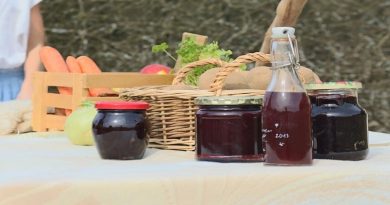Fresh Vegetables Fruits and Homemade Jams - An Eco Friendly Home