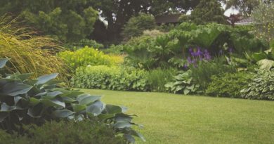 Garden Secrets FI