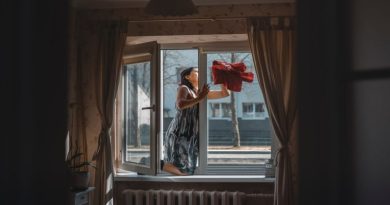 Woman Cleaning her Windows - How to Clean Windows