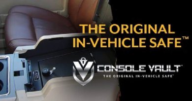 CV FI