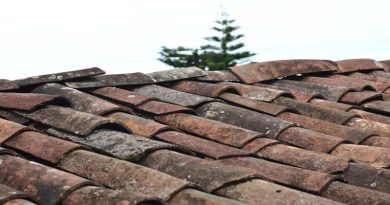 Old tile roof Avoiding Roofing Scams