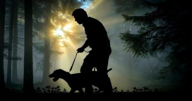 Silhouette of Man Walking a Dog in Woods