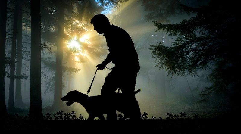 Silhouette of Man Walking a Dog in Woods