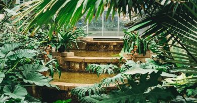 Large Tiered Fountain surrounded by Foliage