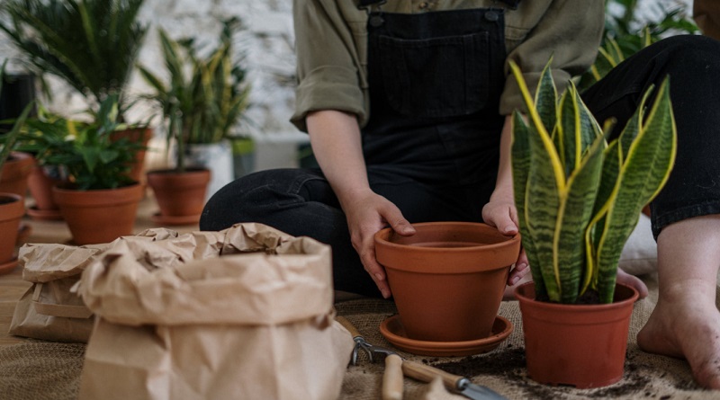 Make Your Garden Beautiful Woman in overalls sitting on floor potting plants