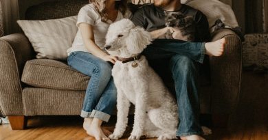 How to Keep the Fire Burning Couple together on sofa with their dog and cat