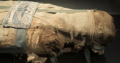 Wrapped Egyptian Mummy