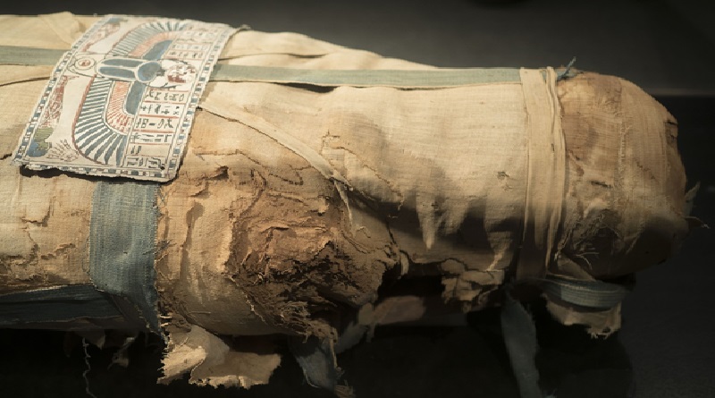 Wrapped Egyptian Mummy