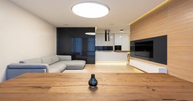 Sustainable Furniture Minimal Modern Open Living Room Kitchen with Flat Screen TV and Sofa