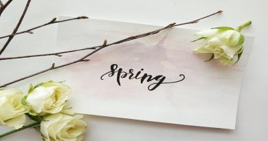 Spring Cleaning Ideas Spring Flatlay with White Roses