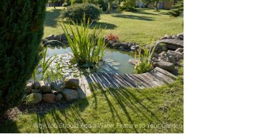 Add a Water Feature to Your Garden