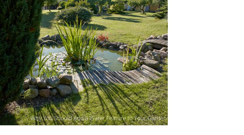 Add a Water Feature to Your Garden