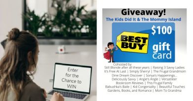 June Best Buy Gift Card Giveaway