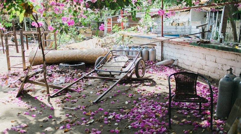 Does Your Garden Need Decluttering Messy garden with debris and yard waste