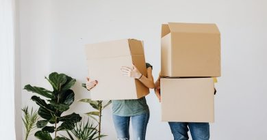 Couple holding packing boxes