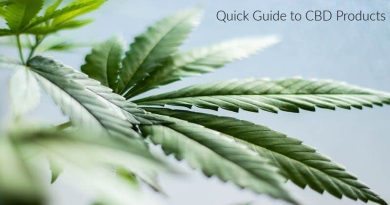 Quick Guide to CBD Products Cannabis Plant