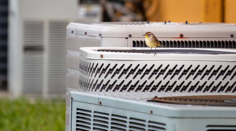 AC Installation and Maintenance Small bird sitting on an HVAC Unit