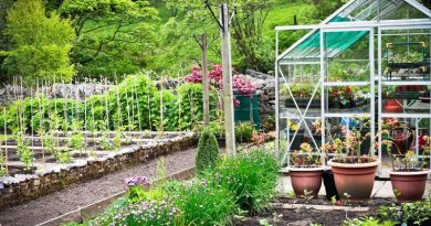 Large Vegetable Garden with Greenhouse