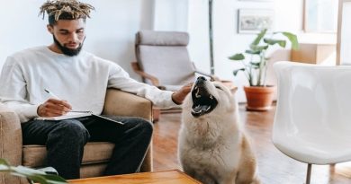 Finding The Perfect Place To Live Man in living room, petting his dog while writing in a notebook