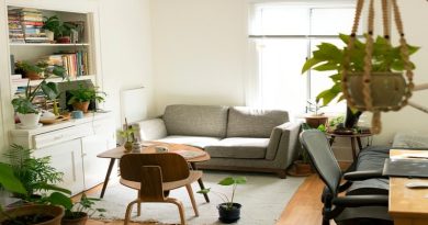 Sunny room filled with plants and wooden accent table