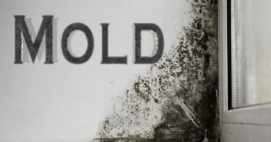 Wall covered in Mold