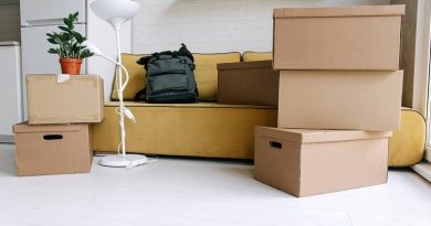 Getting Ready To Move Home Packing boxes in living room with yellow sofa and white floor lamp