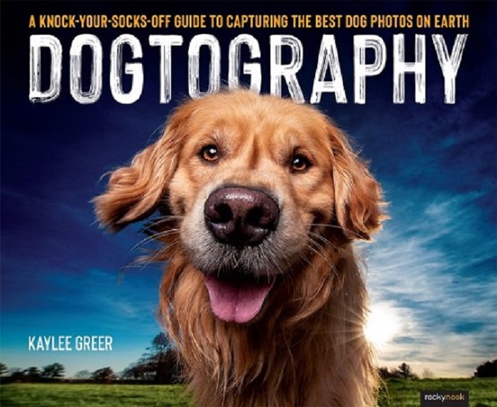 Dogtography / 2021 Holiday Gift Ideas and Buying Guide Page: Books Books and More Books