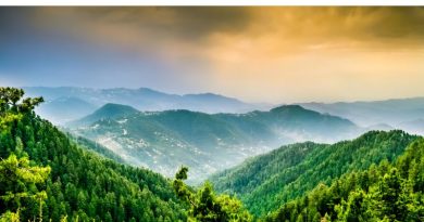 Nature excursions in Pakistan Murree Forested Mountain Tops in Pakistan