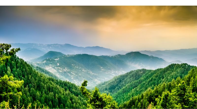 Nature excursions in Pakistan Murree Forested Mountain Tops in Pakistan