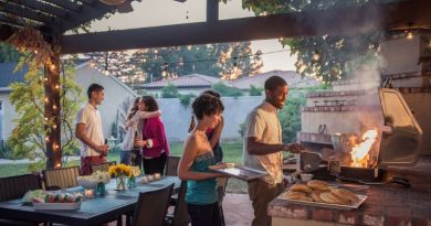 Themes for your next backyard BBQ Friends at a backyard BBQ