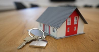 Viewing Your Potential Next Property / Set of keys by small model of a house