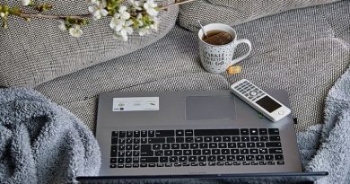 Make the Most Out of Working at Home / Laptop and Cup of Tea on Sofa with Throw Blanket