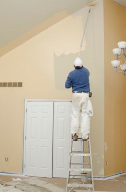Professional House Painter on a Ladder