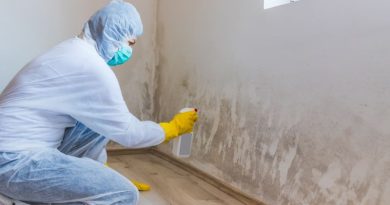 Professional removing mold from wall