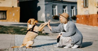 Meeting the New Year With a Renewed Zest / Young woman high fiving with her dog