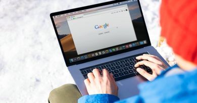 Persona using Google on a Laptop