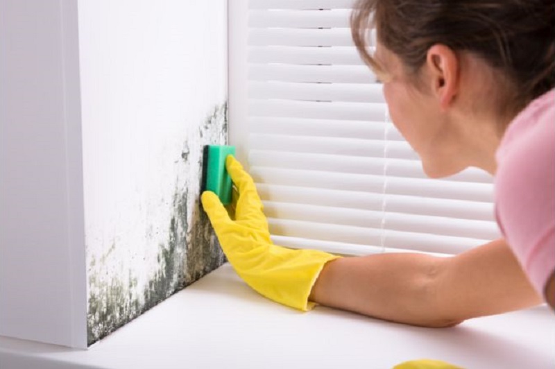 Woman wearing a pink shirt and yellow gloves cleaning mold from her walls